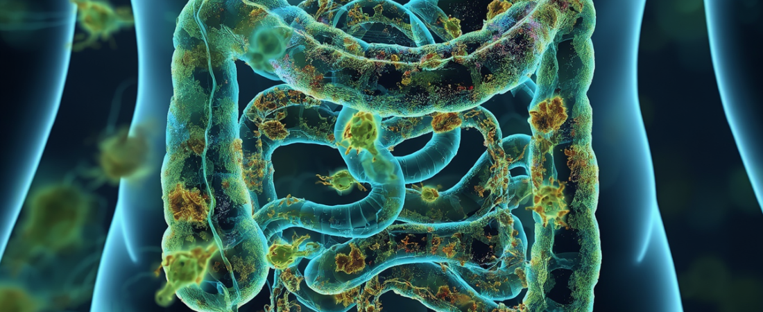 Saúde Intestinal: o que a ciência diz sobre a microbiota e como melhorar a sua de verdade